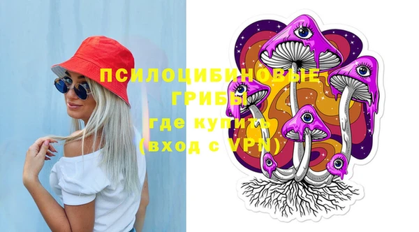тгк Алексин