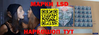 a pvp Дубна