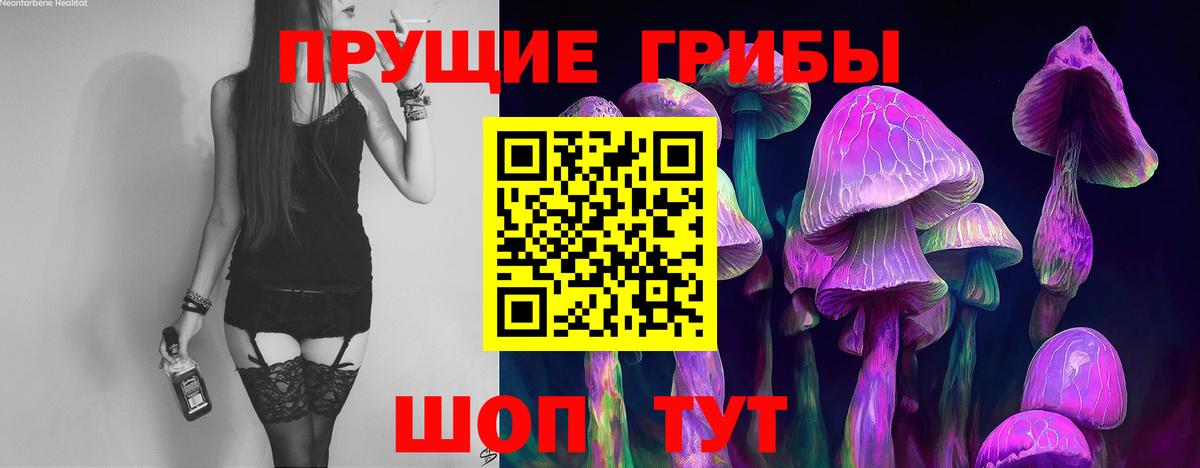 Галлюциногенные грибы Psilocybe Саянск